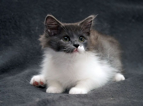 Quiana am 20.07.2025